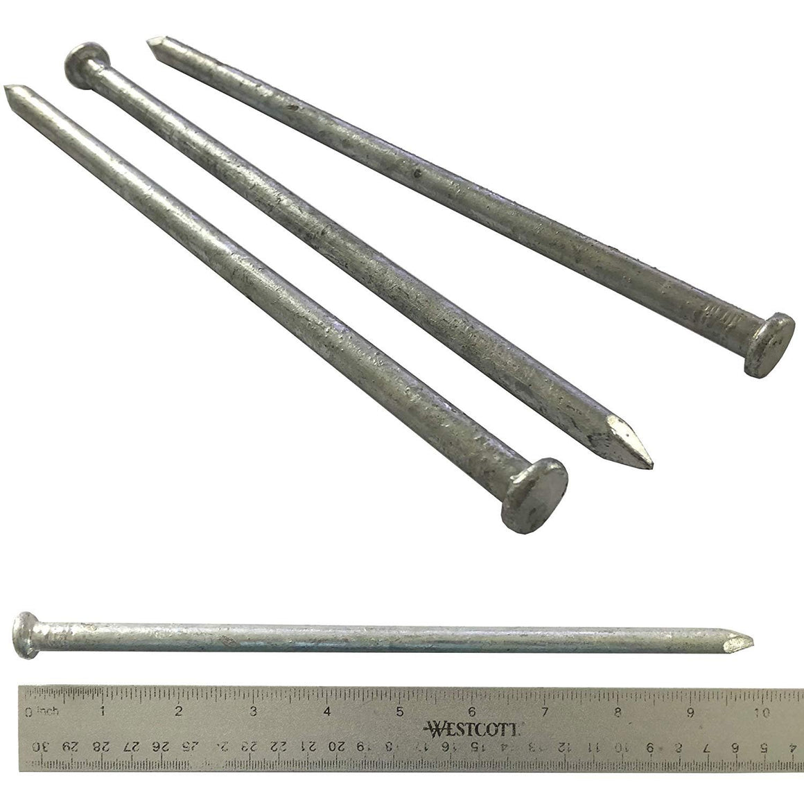 (10) 100d - Galvanized Spike nail - (10) Pack