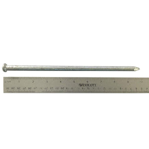 (10) 100d - Galvanized Spike nail - (10) Pack