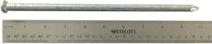 10" - 100d Galvanized Spike nails, long exterior use rust resistant timber landscape spikes